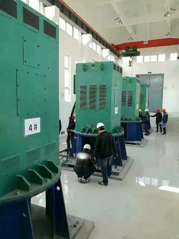 越西某污水处理厂使用我厂的立式高压电机安装现场